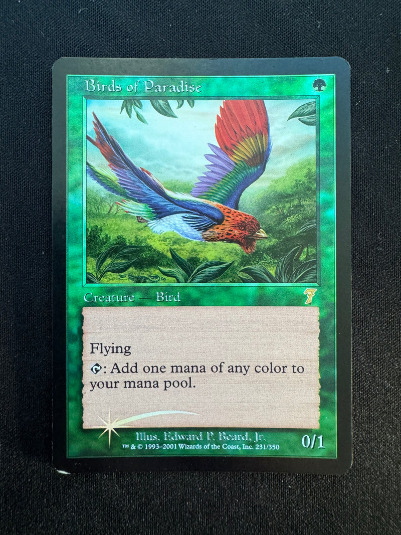 Birds of  Paradise (7ED)