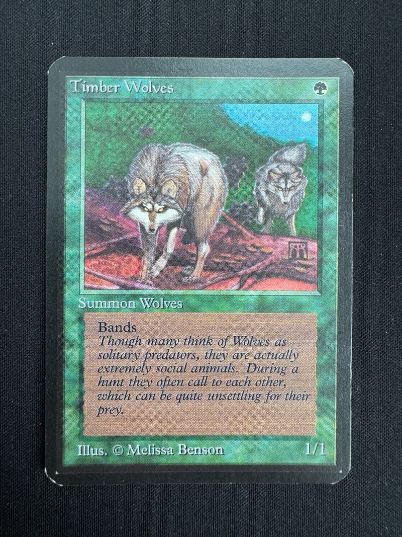 Timber Wolves (LEA)