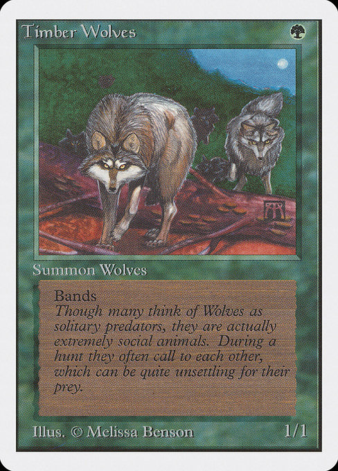 Timber Wolves (UNL)