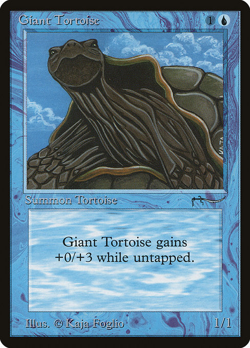Giant Tortoise (dark) (ARN)