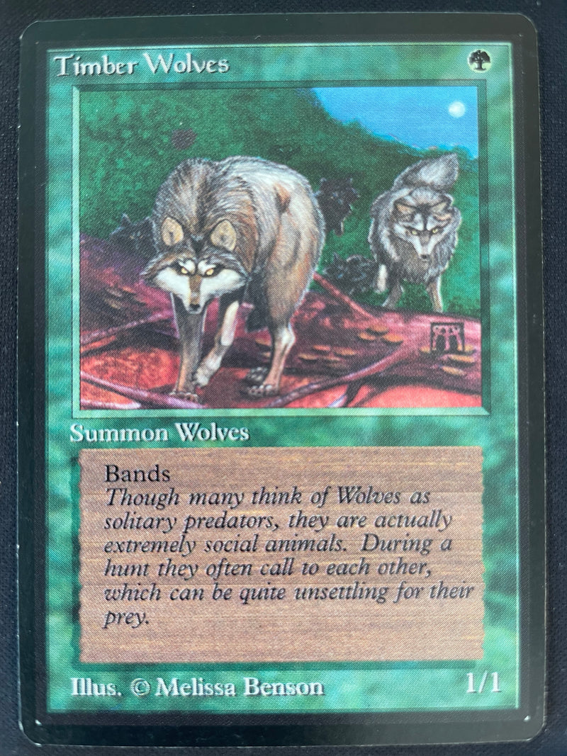 Timber Wolves (LEB)