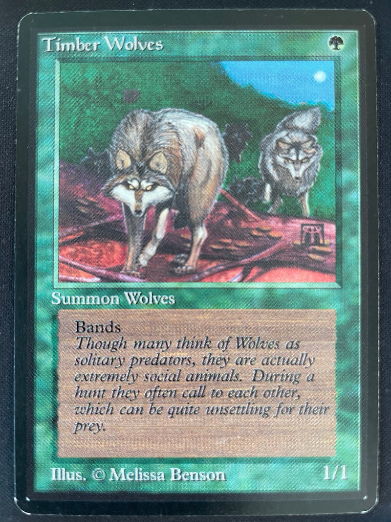 Timber Wolves (LEB)