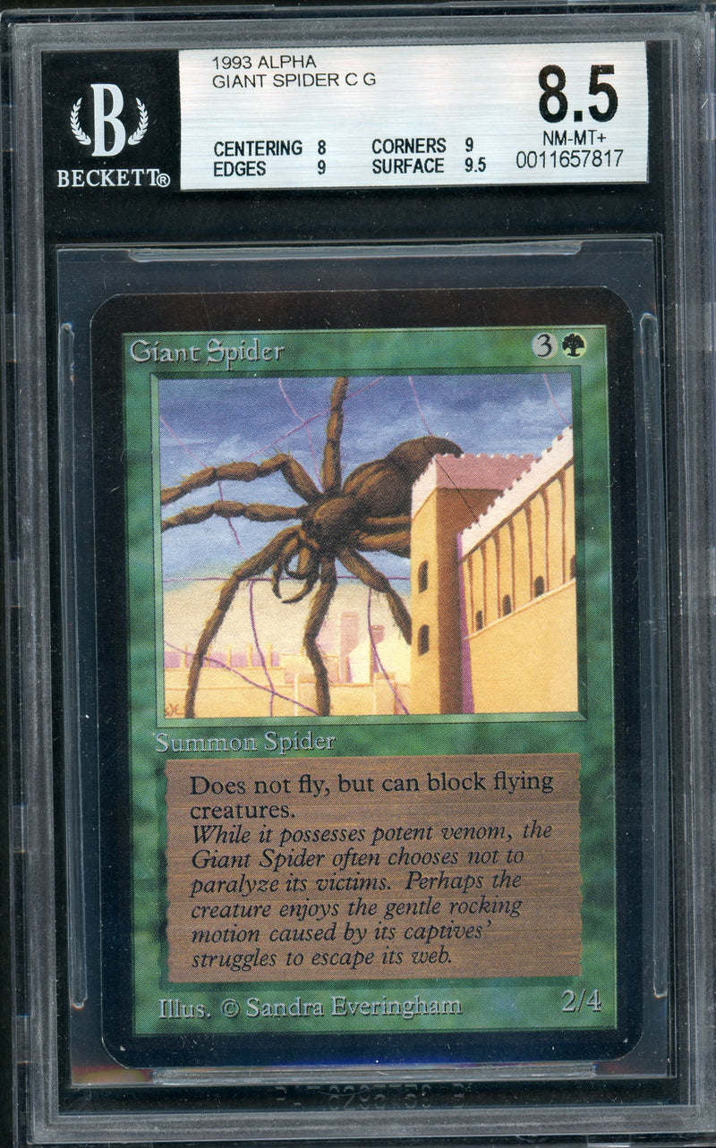 Giant Spider (LEA)